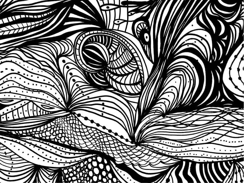 ORGANISMOS ORGÂNICOS RAIZES DA ALMA 09