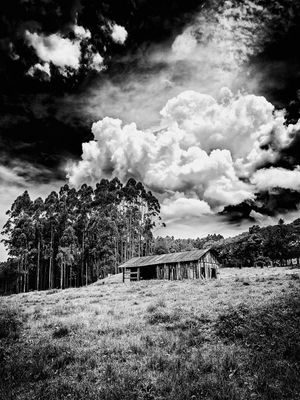 RANCHO RURAL