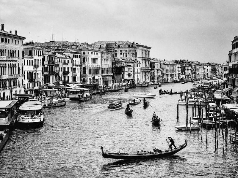 VENEZA EM MOVIMENTO