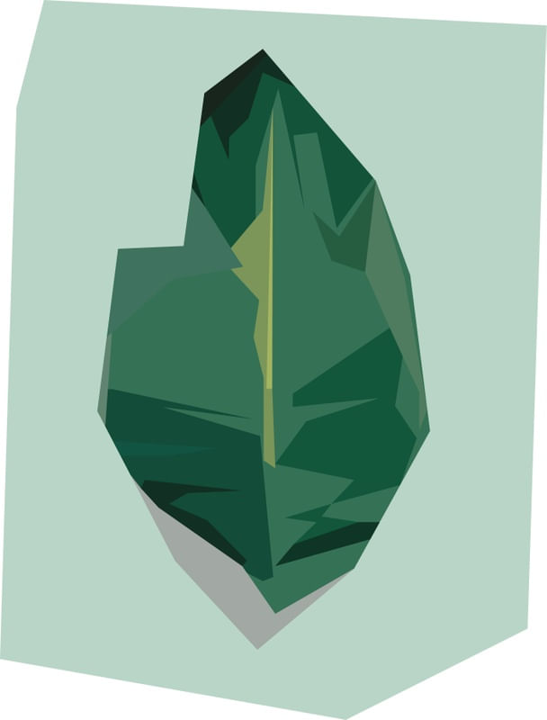 PLANTA GEOMÉTRICA