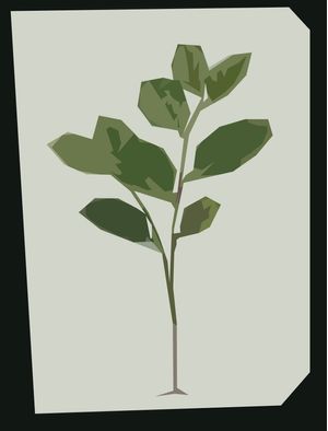 PLANTA GEOMÉTRICA 3