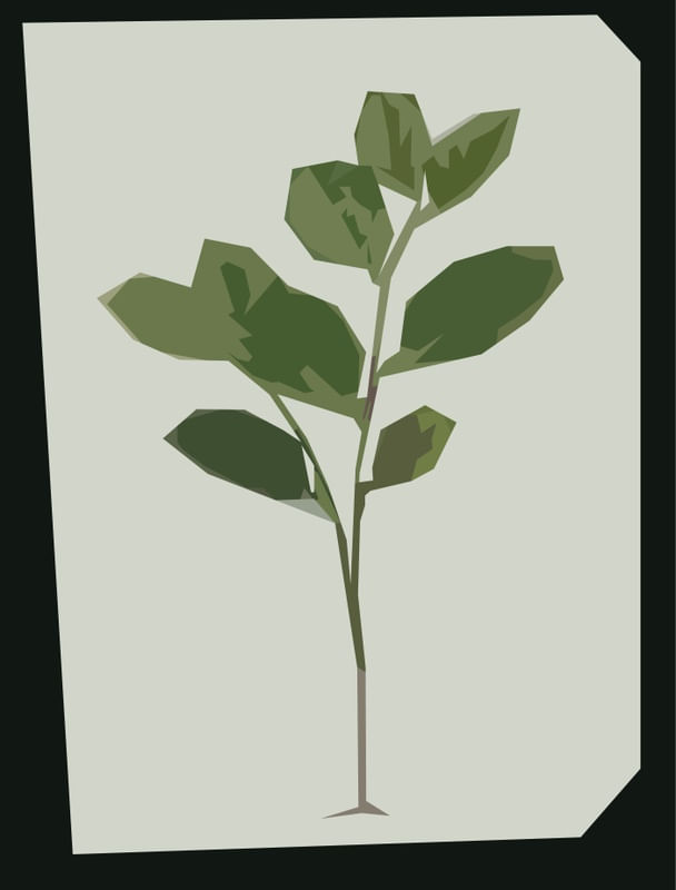 PLANTA GEOMÉTRICA 3