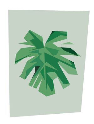PLANTA GEOMÉTRICA 5