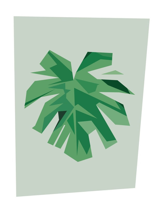 PLANTA GEOMÉTRICA 5