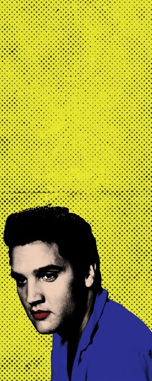 ELVIS PRESLEY POP ART - POR EDUARDO GOES