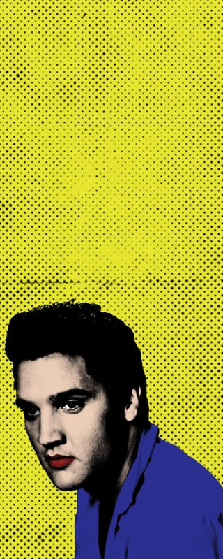 ELVIS PRESLEY POP ART - POR EDUARDO GOES