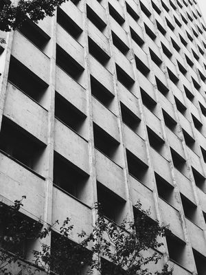 CONTÍNUO - AV. PAULISTA