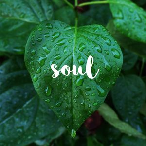 SOUL GREEN