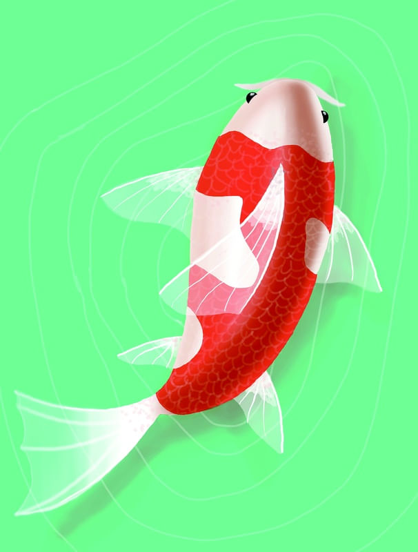 CARPA SOZINHA