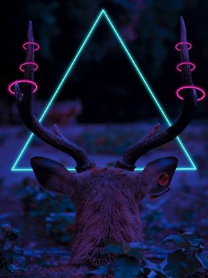 CERVO DIMENSIONAL