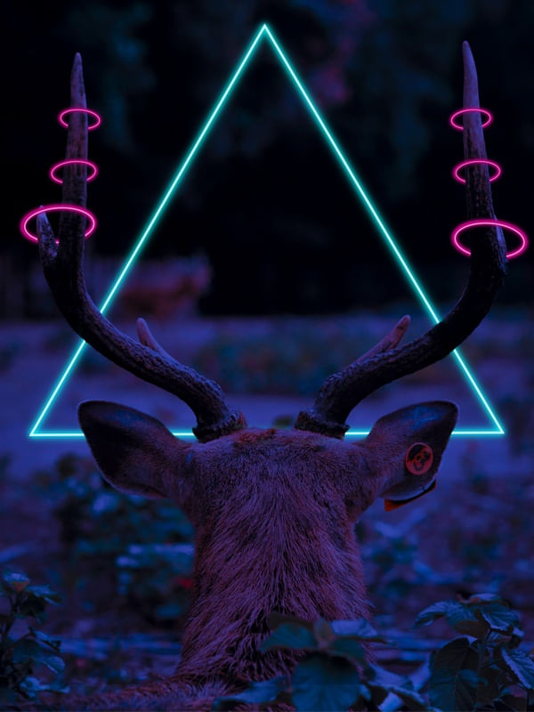 CERVO DIMENSIONAL
