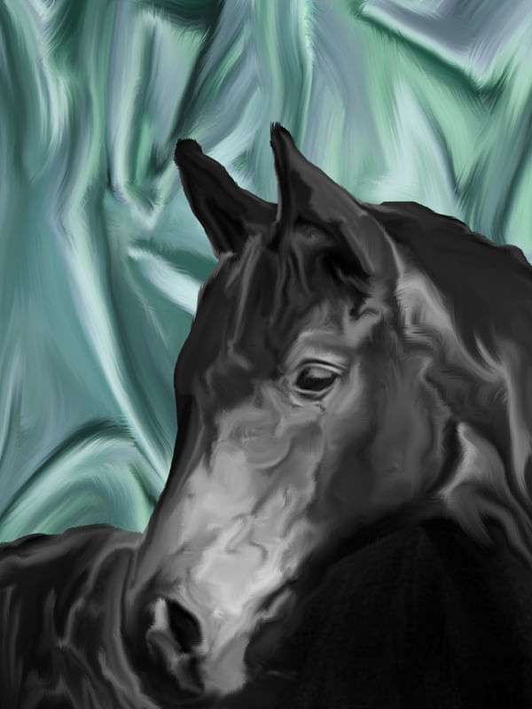 CAVALO SOBRE CETIM