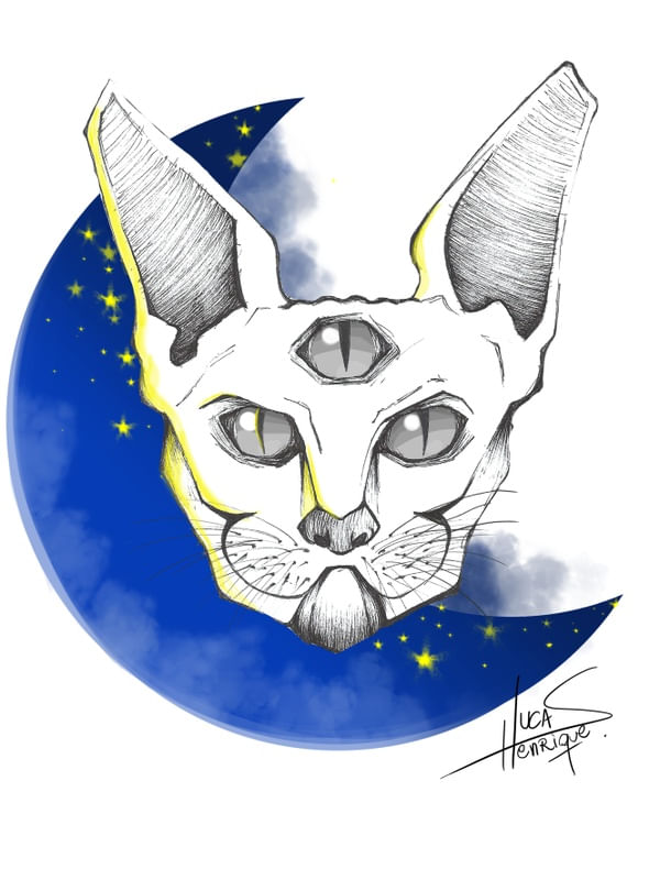 GATO SKETCH