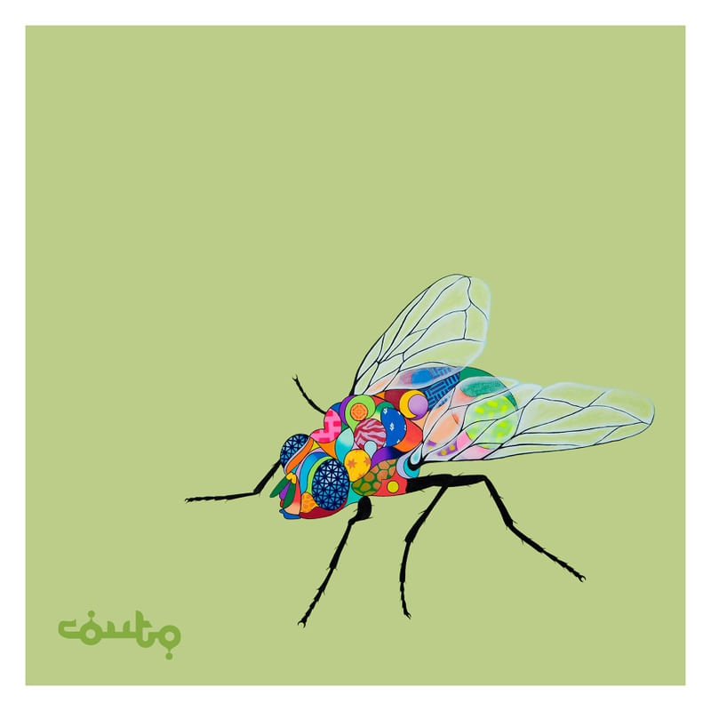 THE FLY