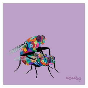 FLIES MATING (MOSCAS TRANSANDO)