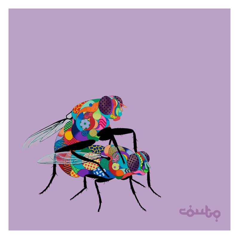 FLIES MATING (MOSCAS TRANSANDO)