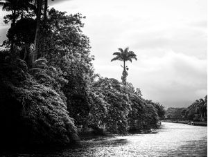 PARATY PB 1