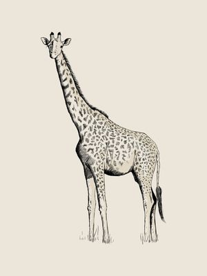 LA GIRAFE