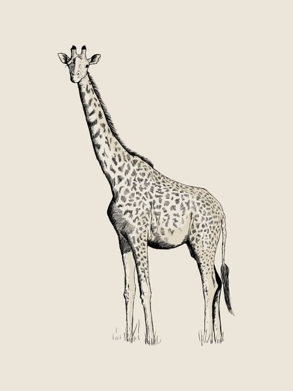 LA GIRAFE