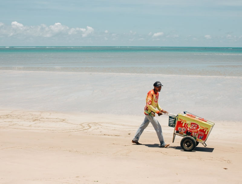 TRABALHO EM PONTA DE CAMPINA