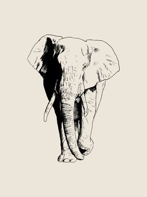 L'ÉLÉPHANT