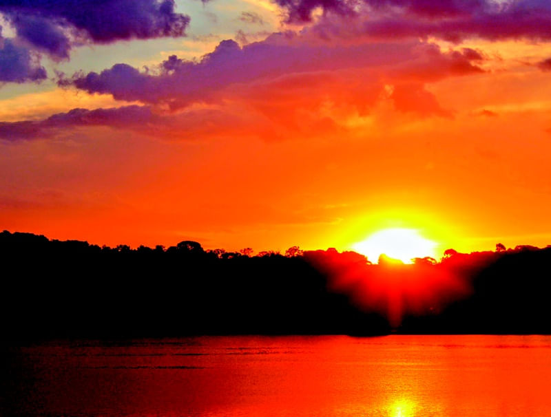 POR DO SOL - KAMIKAZE