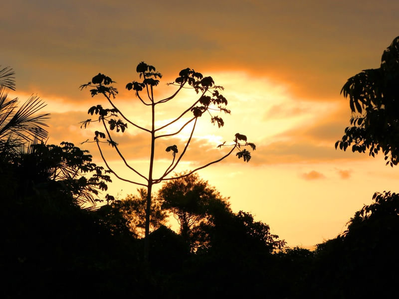 SOLEIL 1