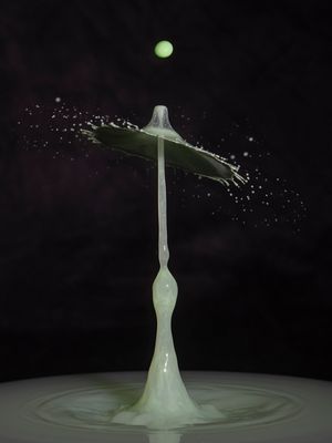 GOTA GUARDA CHUVA