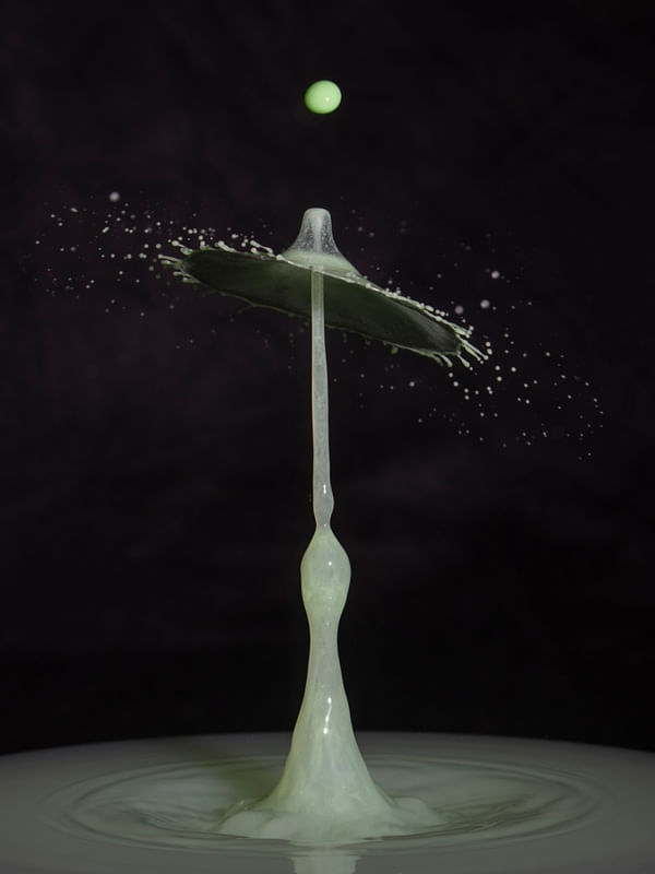 GOTA GUARDA CHUVA