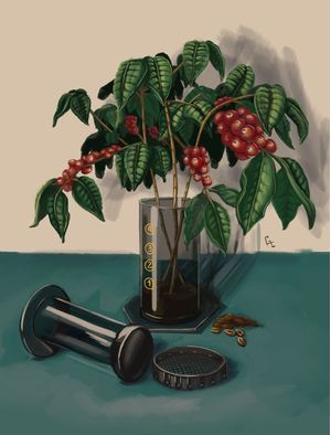 AEROPRESS COFFEE PLANT