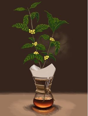 CHEMEX COFFEE PLANT