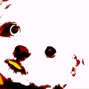 CLOSE UP DOG