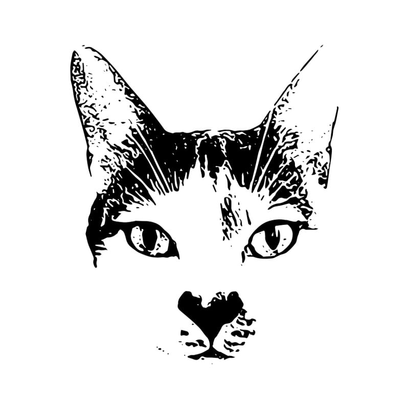 O GATO OSCAR
