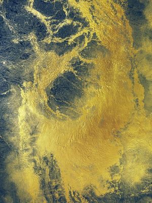 WAVES OF GOLD