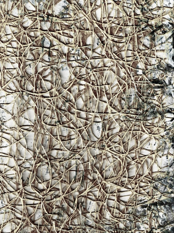 ENTRAPMENT 5, LIGHT
