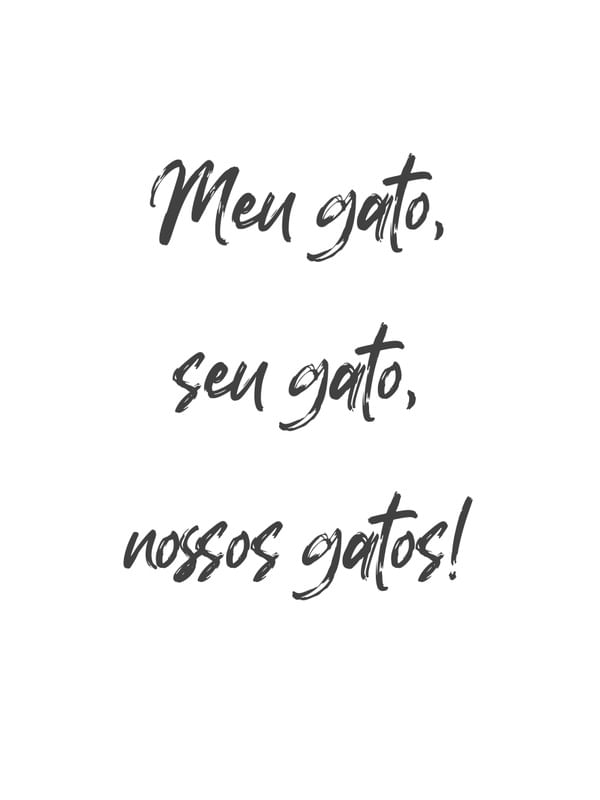 MEU, SEU E NOSSOS GATOS