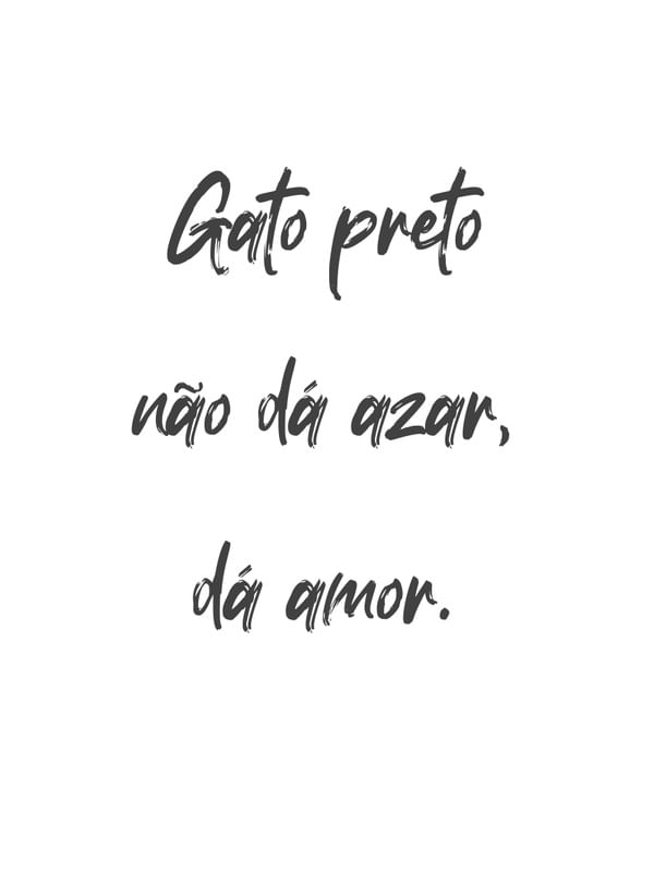 GATO PRETO POR ANA MARCONDES