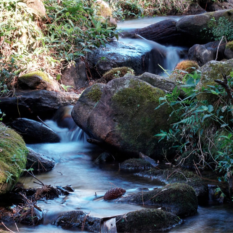 CACHOEIRA CASCATA, NATUREZA E TRANQUILIDADE EM UMA FOTO