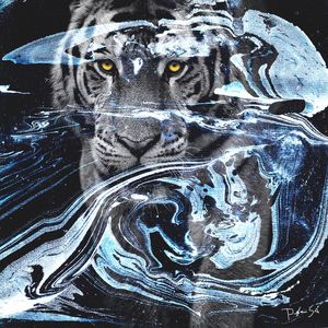 OLHO DE TIGRE