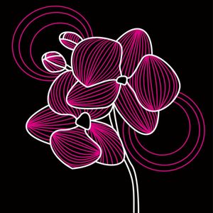 ORQUÍDEA NEON