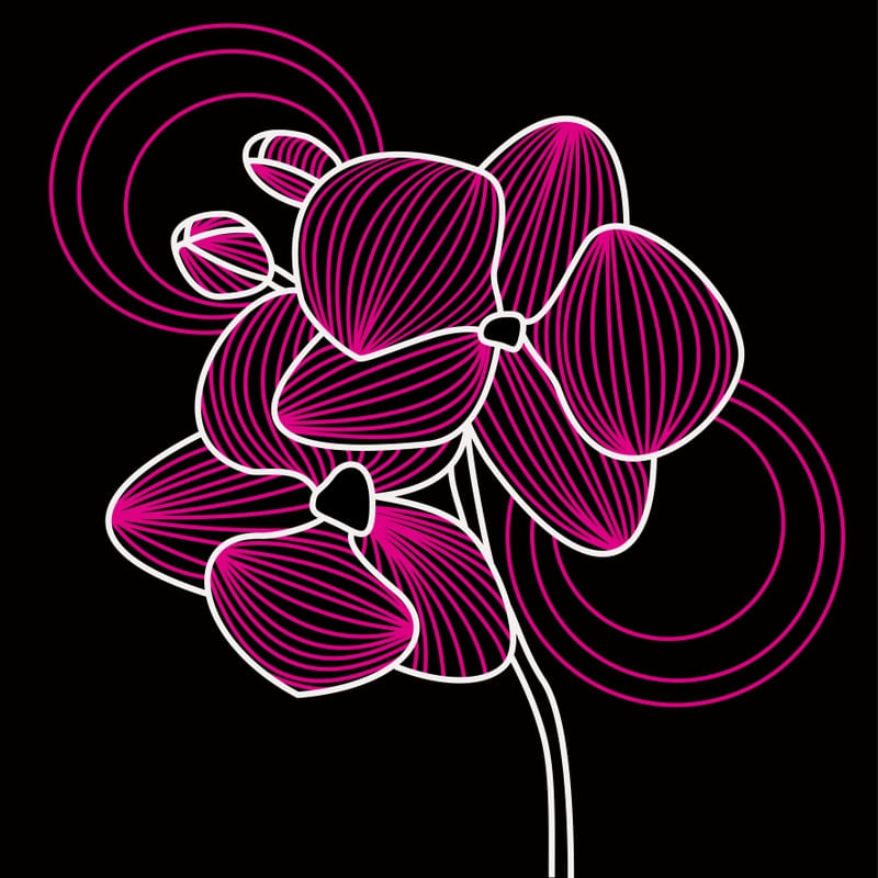ORQUÍDEA NEON