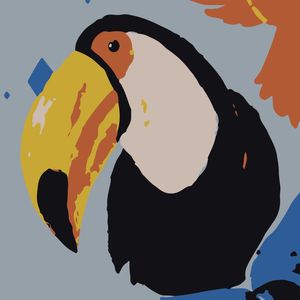 TOUCAN SMILE