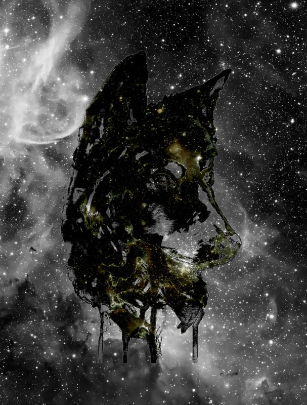 WOLF AND UNIVERSE