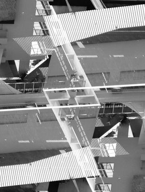 REFLEXIDADE