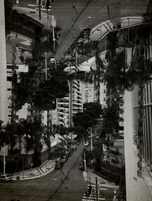 SELVA 2