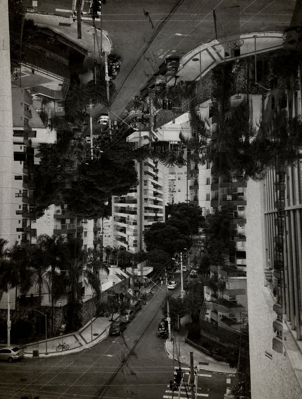 SELVA 2