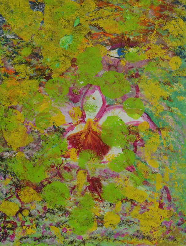 ORQUÍDEA 13