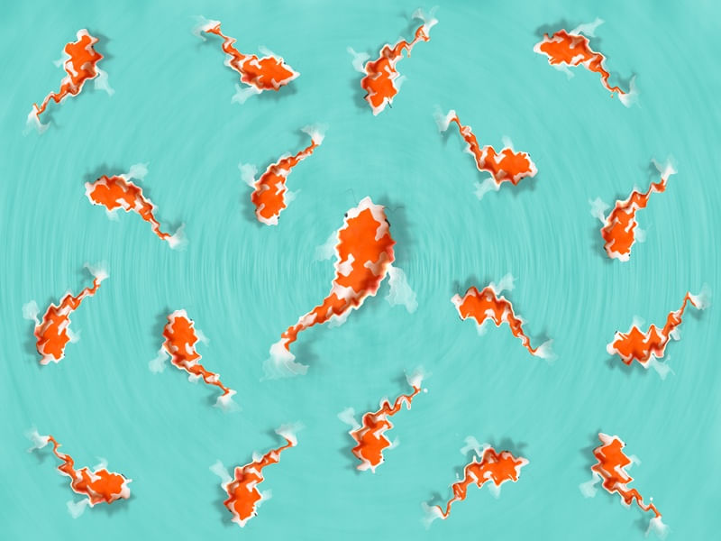 PEIXES VIBRANTES