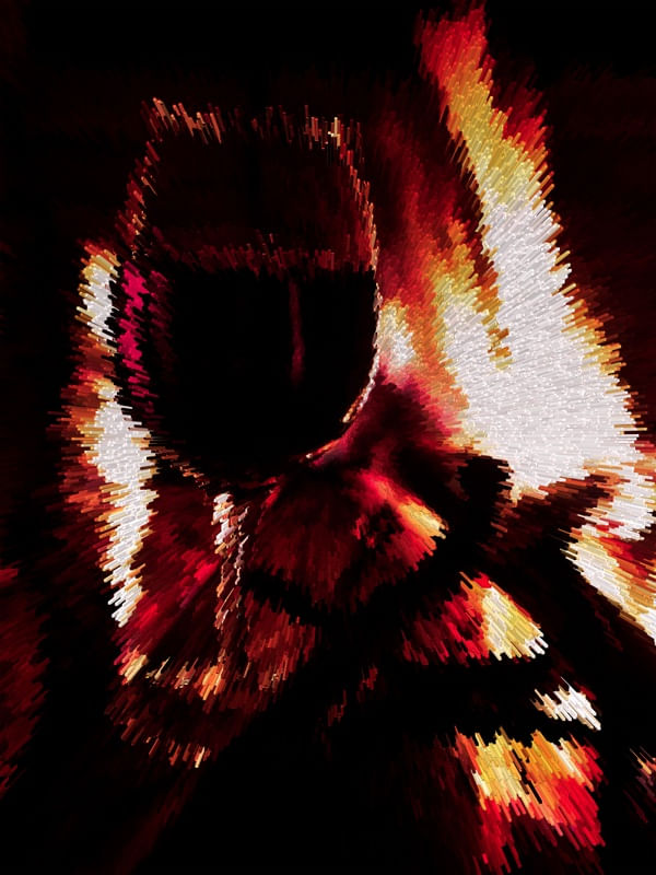 VINHO E FOGUEIRA