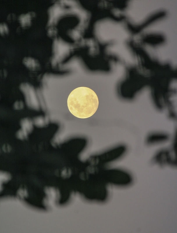 LUA 90
